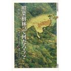 照葉樹林って何だろう？　森の復元と文化再生・綾からアジアへ