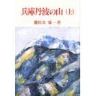 兵庫丹波の山　上