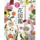 花図鑑　花屋さんで人気の４６９種