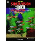 大井純のＳＴＲＡＴＡ　ＶＩＳＩＯＮ　３Ｄグラフィック工房