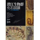 澄江生物群化石図譜　カンブリア紀の爆発的進化