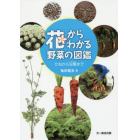 花からわかる野菜の図鑑　たねから収穫まで