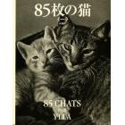 ８５枚の猫