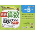 初級算数習熟プリント小学５年生　大判サイズ