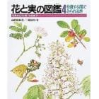 花と実の図鑑　花芽から花・実・たねまで　４