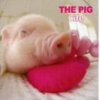 ＴＨＥ　ＰＩＧ　Ｌｉｆｅ