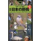 日本の野鳥　写真検索