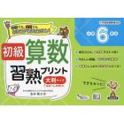 初級算数習熟プリント小学６年生　大判サイズ