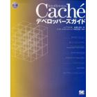 ＩｎｔｅｒＳｙｓｔｅｍｓ　Ｃａｃｈｅデベロッパーズガイド