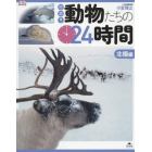 密着！動物たちの２４時間　北極編