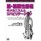 筋・筋膜性腰痛のメカニズムとリハビリテーション