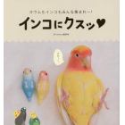 インコにクスッ　オウムもインコもみんな集まれ～！