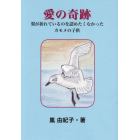 愛の奇跡　翼が折れているのを認めたくなかったカモメの子供