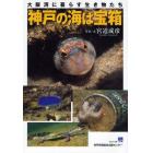 神戸の海は宝箱　大阪湾に暮らす生き物たち