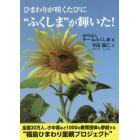 ひまわりが咲くたびに“ふくしま”が輝いた！