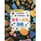 これだけは知っておきたい岩石・鉱物図鑑　英語も学べる！