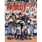 高校野球神奈川グラフ　第９９回全国高校野球選手権神奈川大会　２０１７