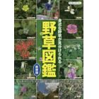 野草図鑑　身近な野草が見分けられる　日本の野草を季節ごとに網羅した野草図鑑の決定版！