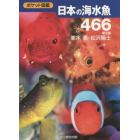 日本の海水魚４６６