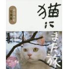 猫にまた旅　岩合光昭写真集　フィルムカメラ編