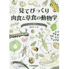 見てびっくり肉食と草食の動物学　ゲッチョ先生の動物コレクション