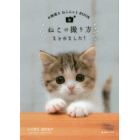 ねこの撮り方まとめました！　お洒落なねこふぉとＢＯＯＫ