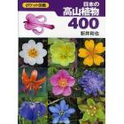 日本の高山植物４００