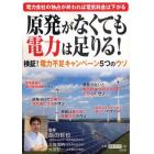 原発がなくても電力は足りる！　検証！電力不足キャンペーン５つのウソ