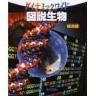 ダイナミックワイド図説生物