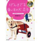 げんきです、車いすの犬花子　犬はすばらしいパートナー