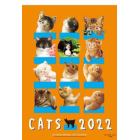 ’２２　村松誠　猫カレンダー