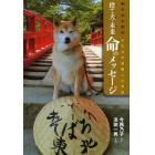 捨て犬・未来命のメッセージ　東日本大震災・犬たちが避難した学校