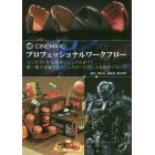 ＣＩＮＥＭＡ　４Ｄプロフェッショナルワークフロー　コンセプトから完成ビジュアルまで、第一線で活躍するクリエイターたちによる制作ノウハウ