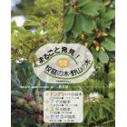 まるごと発見！校庭の木・野山の木　第２集　４巻セット