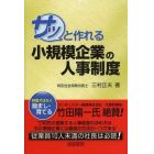 サッと作れる小規模企業の人事制度