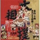 ＢＢＭ　’２１　大相撲カード　ＢＯＸ