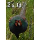 日本の美　国鳥「雉」　高標高・過疎の地で出会った美しい鳥と絶滅が危惧される珍しい鳥