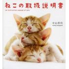 ねこの取扱説明書