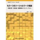 もう一つのソーシャルワーク実践　障害分野・災害支援・国際開発のフロンティアから