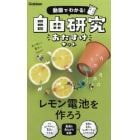 自由研究おたすけキット　レモン電池を作ろ