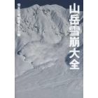 山岳雪崩大全