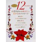 『ミウラ折り』誕生花カード　１２月