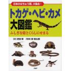 トカゲ・ヘビ・カメ大図鑑　日本のはちゅう類、大集合！　ふしぎな姿とくらしにせまる