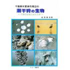 千葉県木更津市周辺の潮干狩の生物　干潟の生物とはたらき