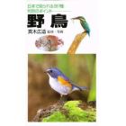 野鳥　日本で見られる２８７種判別のポイント