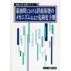 豪雨時における斜面崩壊のメカニズムおよび危険度予測