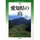 愛知県の山