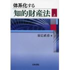 体系化する知的財産法　上