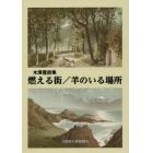 燃える街／羊のいる場所　木澤豊詩集