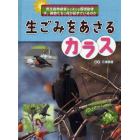 生ごみをあさるカラス